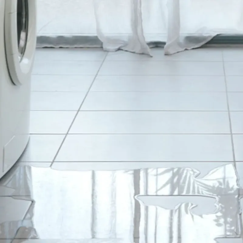 Appliance Leak Cleanup in Bridgeport, AL