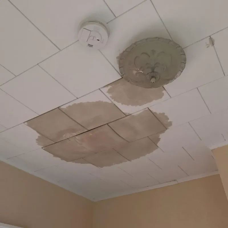 Ceiling Water Damage Repair in Bridgeport, AL
