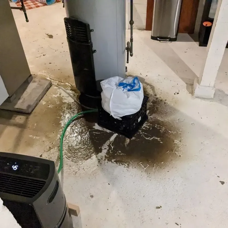 Sewage Backup Cleanup Service in Bridgeport, AL
